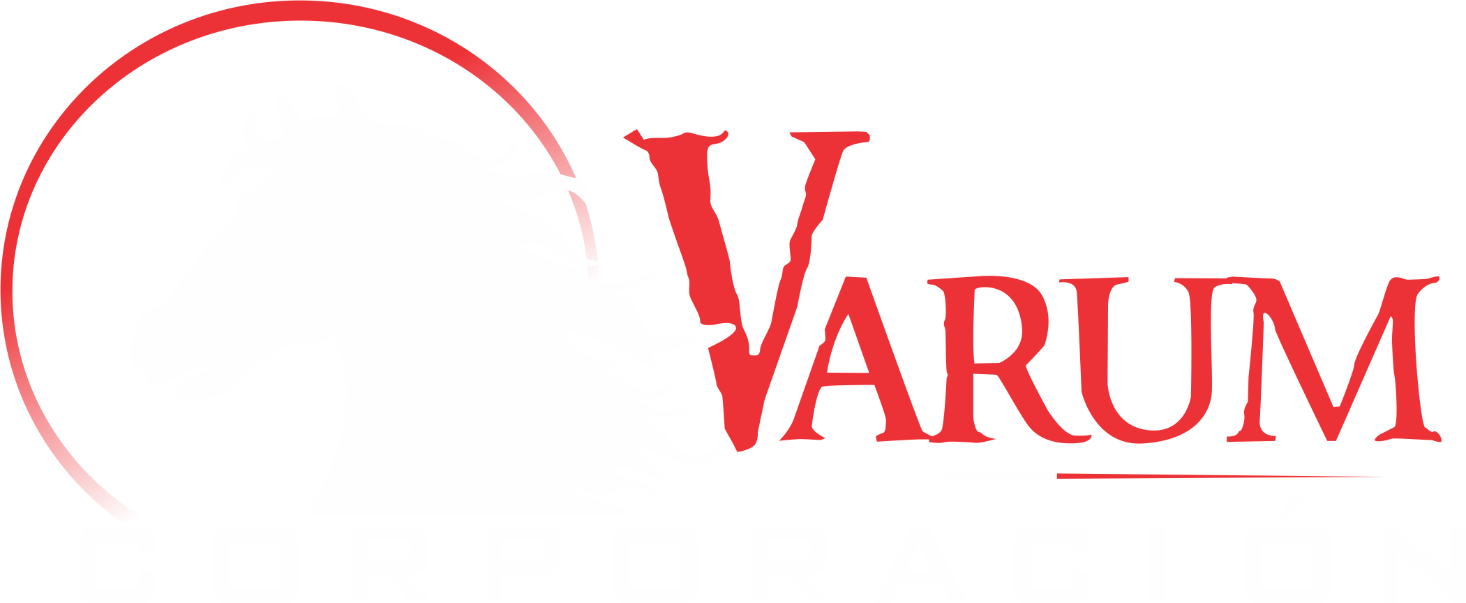Corporación Varum S.A.C.